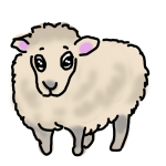 毛刈り前の羊